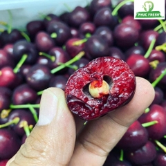 Cherry Mỹ Meena size 9
