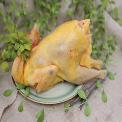Gà đồng bào thả rông Gia Lai (gà tộc) (900-1300gr) con