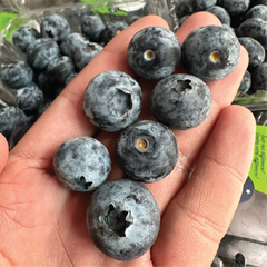 Việt Quất Peru OzBlu