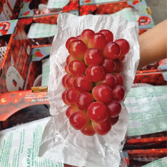 Nho mẫu đơn Ruby Hàn