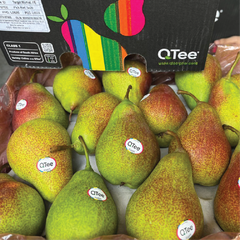 Lê Bỉ đỏ size 45