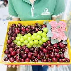 Hộp quà tặng trái cây cao cấp 1250