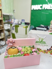 Hộp quà tặng trái cây cao câp 550