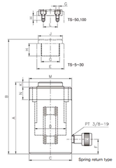 SINGLE-ACTING CYLINDER (싱글램) TS