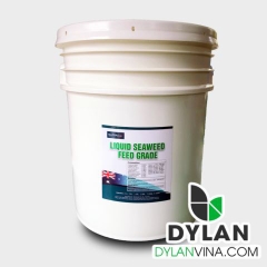 Tảo biển: SEAWEED