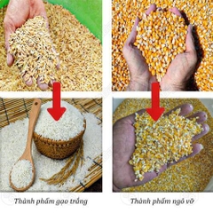 Máy xay xát lúa gạo UN 6N40