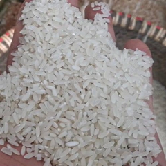 Máy xay xát lúa gạo UN 6N40