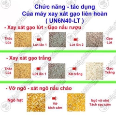 Máy xay xát gạo lứt – Gạo trắng – Gạo nấu rượu UN 6N40-LT