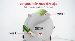 Máy thái rau củ quả công nghiệp đa năng MG-865