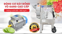 Máy thái rau củ quả công nghiệp đa năng MG-865