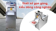 Máy thái thịt đông lạnh công nghiệp QP2