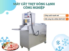 Máy thái thịt đông lạnh công nghiệp Sl 350B