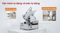 Máy thái thịt đông lạnh tự động SL-300B