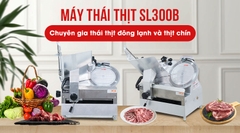 Máy thái thịt đông lạnh tự động SL-300B