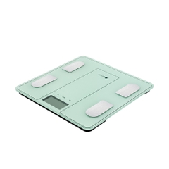 Cân điện tử sức khỏe Elmich ESE-9171 - HAPOS HSA