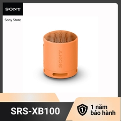 Loa không dây di động Sony SRS-XB100 - HAPOS HEL