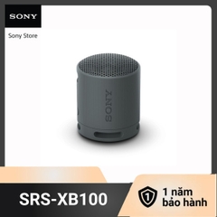 Loa không dây di động Sony SRS-XB100 - HAPOS HEL