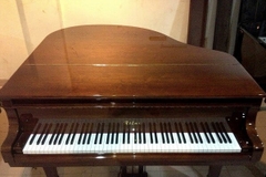 Baby Grand Piano Atlas AG500