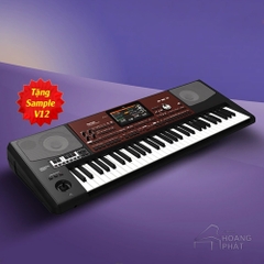 Organ KORG PA 700