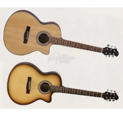 Guitar Acoustic J100