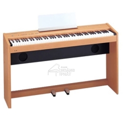 ROLAND F100