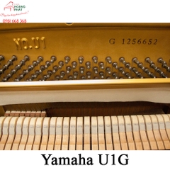 Yamaha U1G ( 1258001)