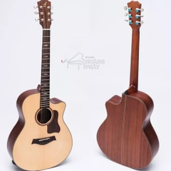 Guitar Acoustic T420