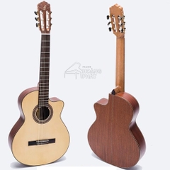 guitar classic C-450-J