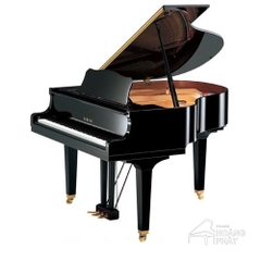 Grand Piano Yamaha GB1K PE