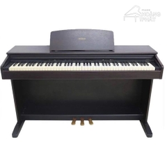 Yamaha YDP 101