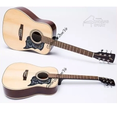 Guitar Acoustic D200