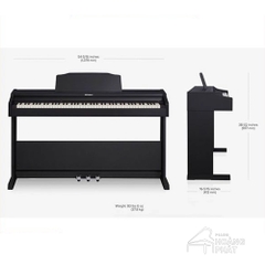 ROLAND RP-102