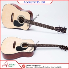 Guitar Acoustic D100