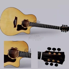 Guitar Acoustic - T550C (Gỗ Còng)