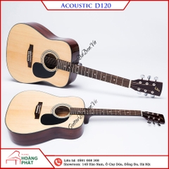 Guitar Acoustic D120