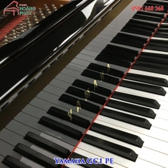 Grand Piano Yamaha GC1 pe