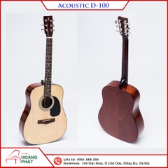 Guitar Acoustic D100