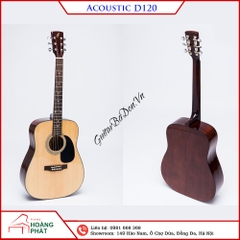 Guitar Acoustic D120