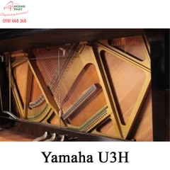 Yamaha U3H (Seri 3.xxx) Autoplay