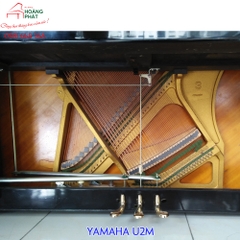 YAMAHA U2M