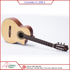 Guitar Classic C-250-J