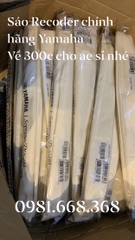 Sáo Recorder Yamaha YRS-24B