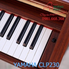 YAMAHA CLP230