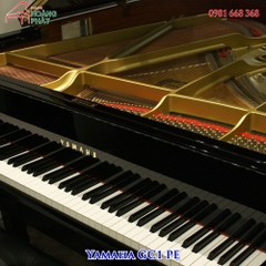 Grand Piano Yamaha GC1 pe