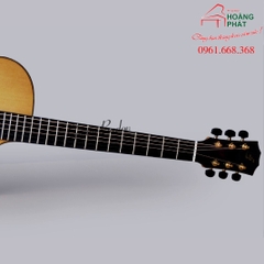 Guitar Acoustic - T550C (Gỗ Còng)