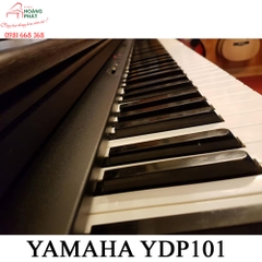 Yamaha YDP 101