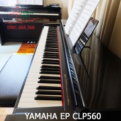 YAMAHA CLP560