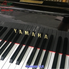 YAMAHA YUS (3524831)