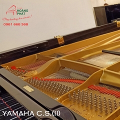 YAMAHA CS-2(CS-II)