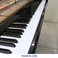 YAMAHA U2M